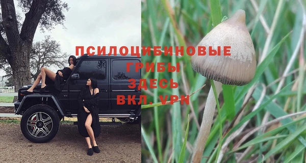 меф VHQ Дмитриев