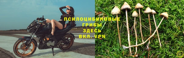 ешки Дмитров