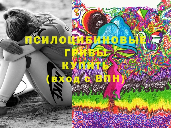 ешки Дмитров
