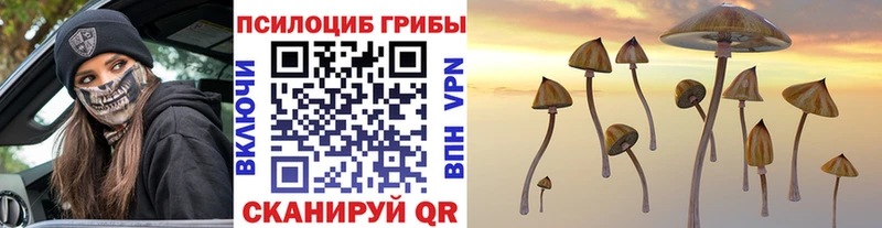 Галлюциногенные грибы Cubensis  Купить закладки  Энгельс 