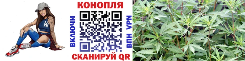 Купить  Энгельс  Канабис семена 