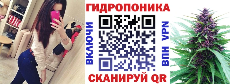 Каннабис конопля Энгельс
